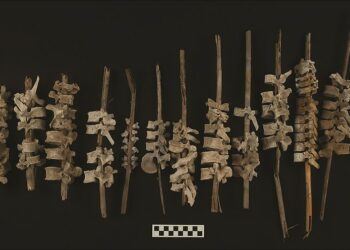 Archaeologists In Peru Discover A 16th-Century Grave Containing Nearly 200 Human Spines Threaded Onto Sticks