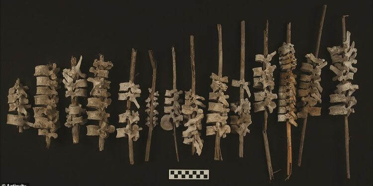 Archaeologists In Peru Discover A 16th-Century Grave Containing Nearly 200 Human Spines Threaded Onto Sticks