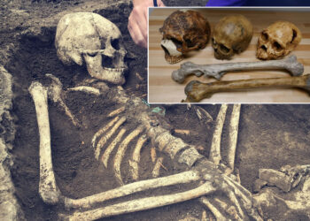 The Size Of Human Bodies Has Changed As A Result Of Climate Change