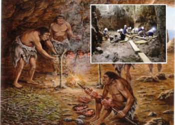 Israeli Study Finds Early Humans Knew To Situate Hearth In Cave’s Optimal Spot