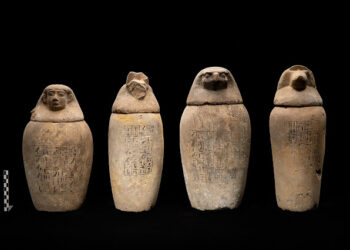 The Largest Embalming Cache Ever Found In Egypt Unearthed At Abusir