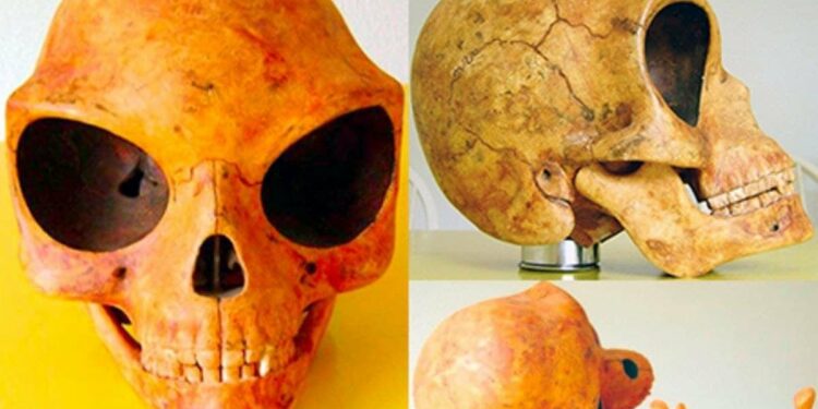 Mysterious Alien Sealand skull found in Olstykke: Remains Of An Extraterrestrial