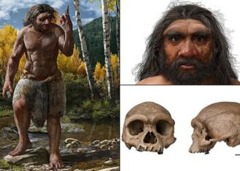 Dragon Man Skull Could Be New Human Species That Lived 146,000 Years Ago In China