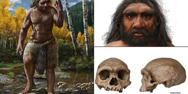 Dragon Man Skull Could Be New Human Species That Lived 146,000 Years Ago In China