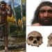 Dragon Man Skull Could Be New Human Species That Lived 146,000 Years Ago In China