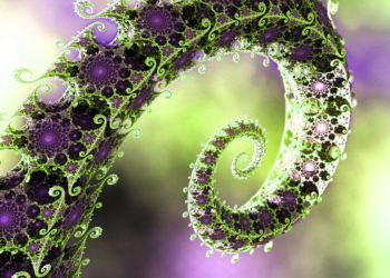 Scientists On How Trees Talk Through an Ancient ‘Otherworld’ Network