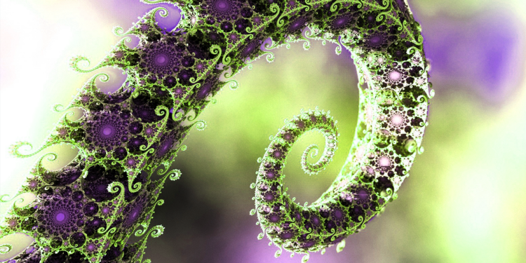 Scientists On How Trees Talk Through an Ancient ‘Otherworld’ Network