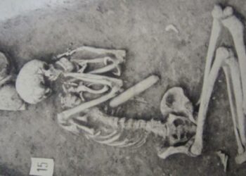 Ancient Skeletons Reveal Genetic History of Central Europe