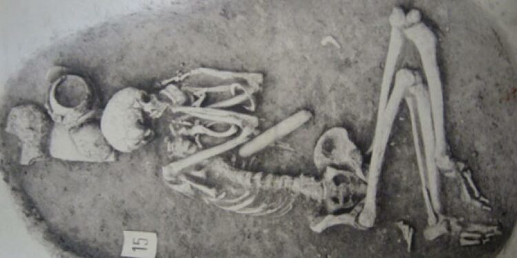 Ancient Skeletons Reveal Genetic History of Central Europe