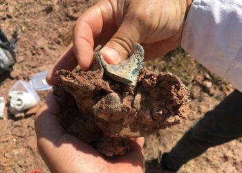 Balkanatolia: The Forgotten Continent That Reveals Mammalian Evolution