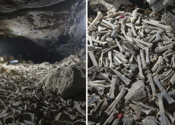 Hundreds Of Thousands Of Animal And Human Bones Have Been Discovered In Saudi Arabia By Scientists