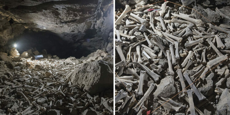 Hundreds Of Thousands Of Animal And Human Bones Have Been Discovered In Saudi Arabia By Scientists