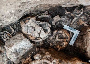 Evidence of Ear Surgery From 5,300 Years Ago Discovered in Spain