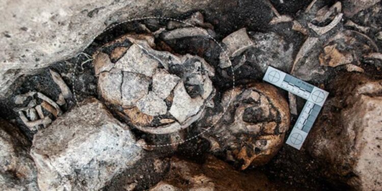 Evidence of Ear Surgery From 5,300 Years Ago Discovered in Spain