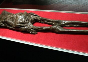 The Liber Linteus: An Egyptian Mummy Encased In A Secret Message