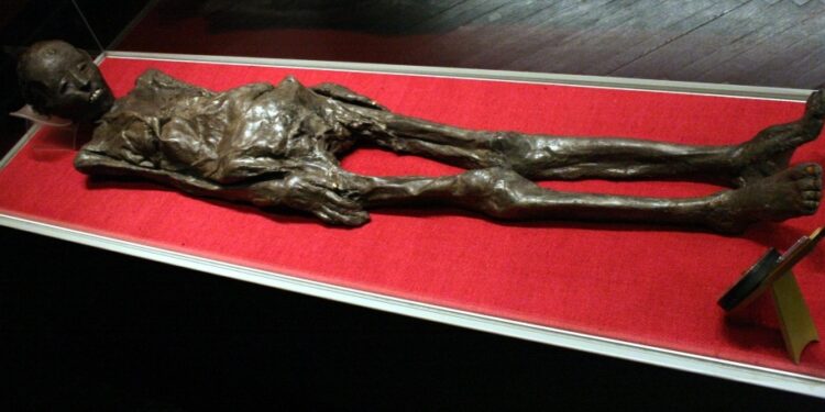 The Liber Linteus: An Egyptian Mummy Encased In A Secret Message