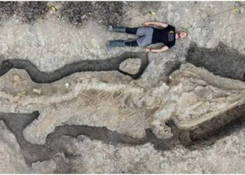 Extremely Rare 180-Million-Year-Old Giant “Sea Dragon” Fossil Discovered In UK