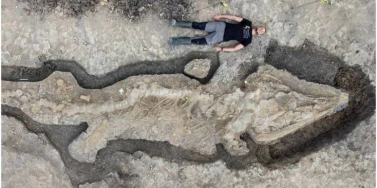 Extremely Rare 180-Million-Year-Old Giant “Sea Dragon” Fossil Discovered In UK