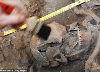 Medieval Cemetery Discovered Under A Berlin Car Park Reveals Its Original Residents’ Lives