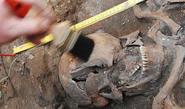 Medieval Cemetery Discovered Under A Berlin Car Park Reveals Its Original Residents’ Lives