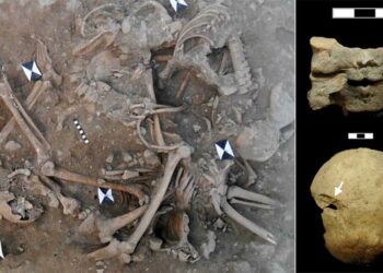 Mass Graves Of Crusaders Killed In The 13th Century Have Been Discovered In Lebanon