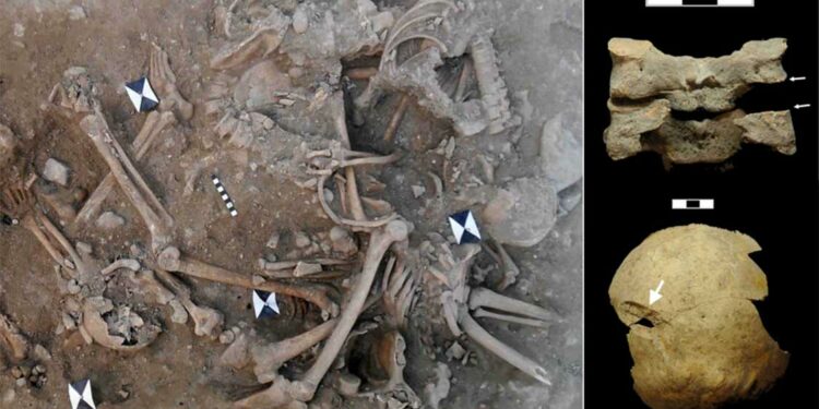 Mass Graves Of Crusaders Killed In The 13th Century Have Been Discovered In Lebanon