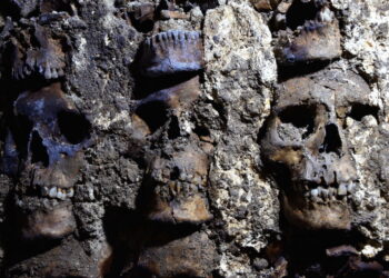 A 500-Year-Old Aztec Tower of Human Skulls Is Even More Terrifyingly Humongous Than Previously Thought, Archaeologists Find