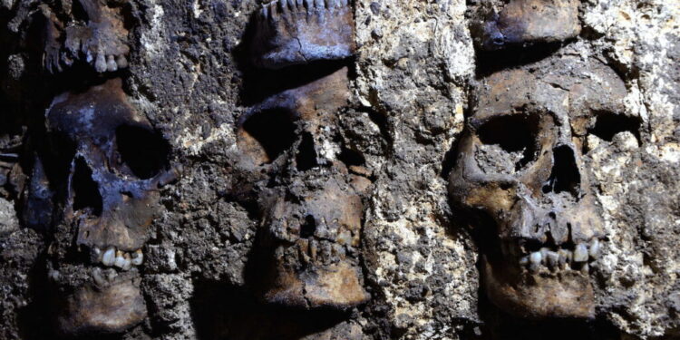 Ett 500 år gammalt aztekiskt torn av mänskliga skallar är ännu mer skrämmande humongous än man tidigare trott, finner arkeologer
