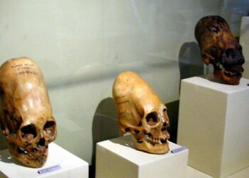 DNA Tests Reveal That Paracas Skulls Are Not Human