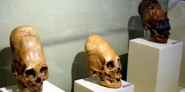 DNA Tests Reveal That Paracas Skulls Are Not Human