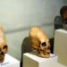 DNA Tests Reveal That Paracas Skulls Are Not Human