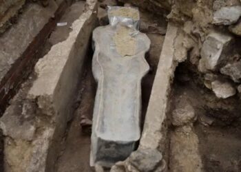 14th-Century Sarcophagus Found At Fire-Ravaged Notre Dame Cathedral