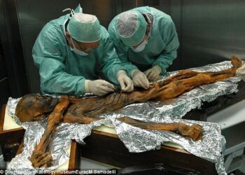 After 5,300 Years, The Last Meal Of An Ancient Iceman Has Been Revealed And It Was A High-Fat, Meaty Feast