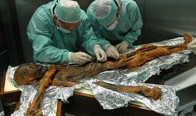 After 5,300 Years, The Last Meal Of An Ancient Iceman Has Been Revealed And It Was A High-Fat, Meaty Feast
