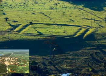 Ancient Advanced City Found Hidden In The Amazon