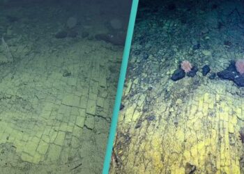 Scientists Follow a ‘Yellow Brick Road’ in a Never-Before-Seen Spot of The Pacific Ocean