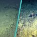 Scientists Follow a ‘Yellow Brick Road’ in a Never-Before-Seen Spot of The Pacific Ocean