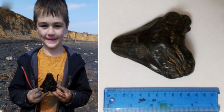 Schoolboy Finds A Huge 3,000,000-Year-Old Megalodon Shark Tooth On British Beach