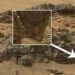 Mysterious “Creature” Filmed by NASA’s Curiosity Rover on Mars