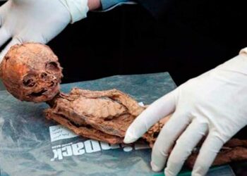 Makhunik: 5,000-year-old city of dwarfs who hoped to return one day