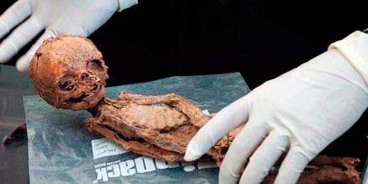 Makhunik: 5,000-year-old city of dwarfs who hoped to return one day
