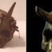 Ancient Giant Skull With ‘Horns’ Discovered During An Archaeological Excavation In Sayre In The 1880s