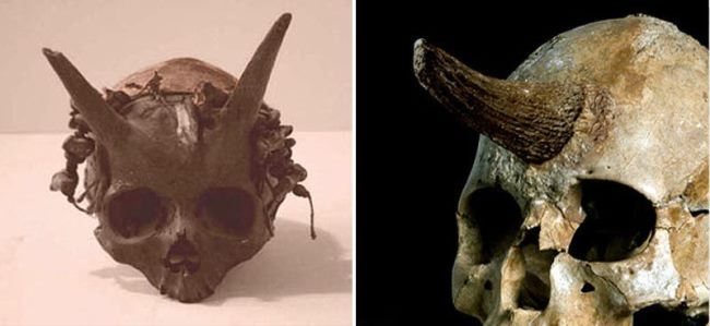 Ancient Giant Skull With 'Horns' Discovered During An Archaeological  Excavation In Sayre In The 1880s - Archaeology and Ancient Civilizations