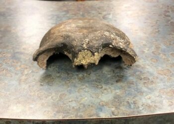 8,000-year-old skull found in Minnesota River goes home to its Native American descendants