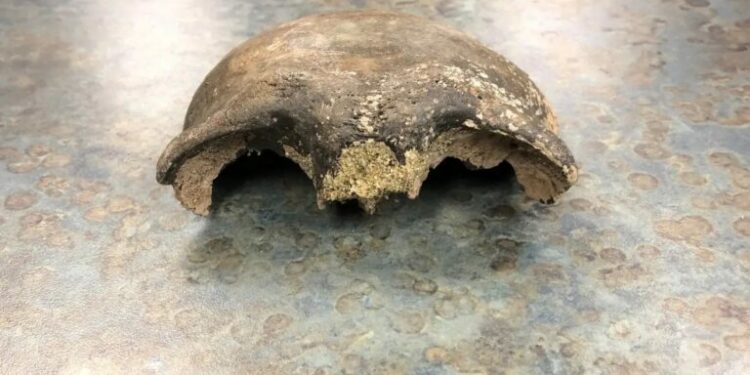 8,000-year-old skull found in Minnesota River goes home to its Native American descendants