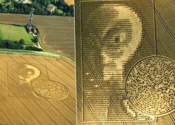 University Mathematician Decodes The Crop Circle With A Binary Code & Extraterrestrial Face