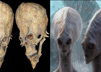 The Unusual Alien Skulls Found in Africa May Alter the Course of History