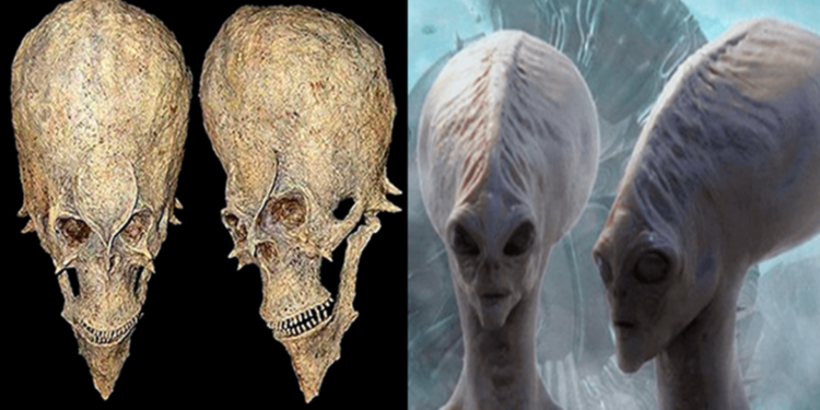 The Unusual Alien Skulls Found in Africa May Alter the Course of History
