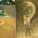 Physicist From Finland’s University of Helsinki Decodes Strange Crop Circle With A Binary Code And Alien Face