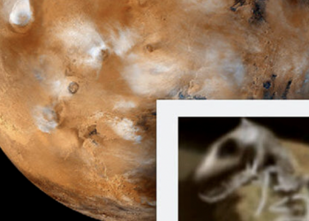 Forget Water on Mars: A Strange Fossilized Dinosaur Was Found on the Red Planet